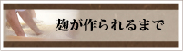 麹（こうじ）が作られるまで